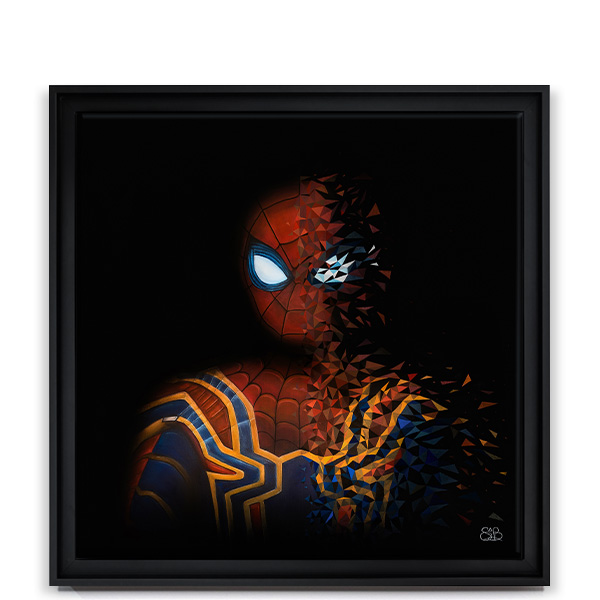 Spider Man Image